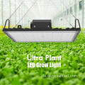 Tiefrotes 660nm LED-Wachstumslicht für die Fruchtbildung